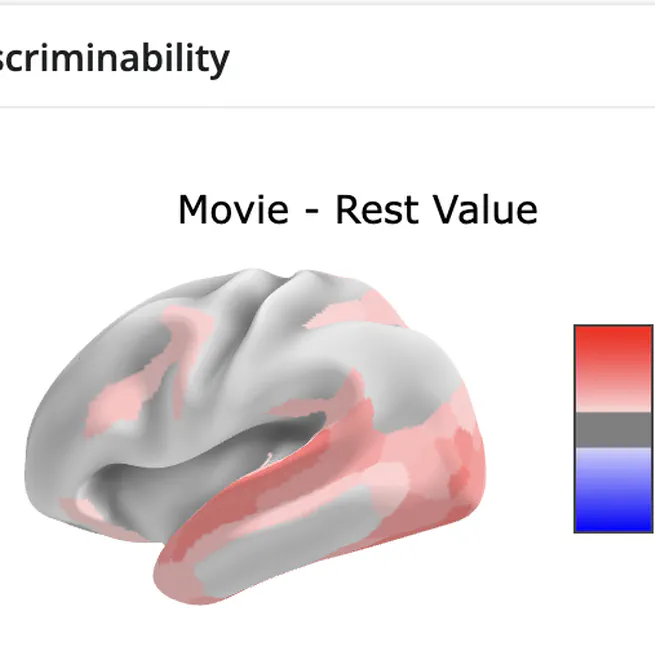 Movie fMRI Reliability